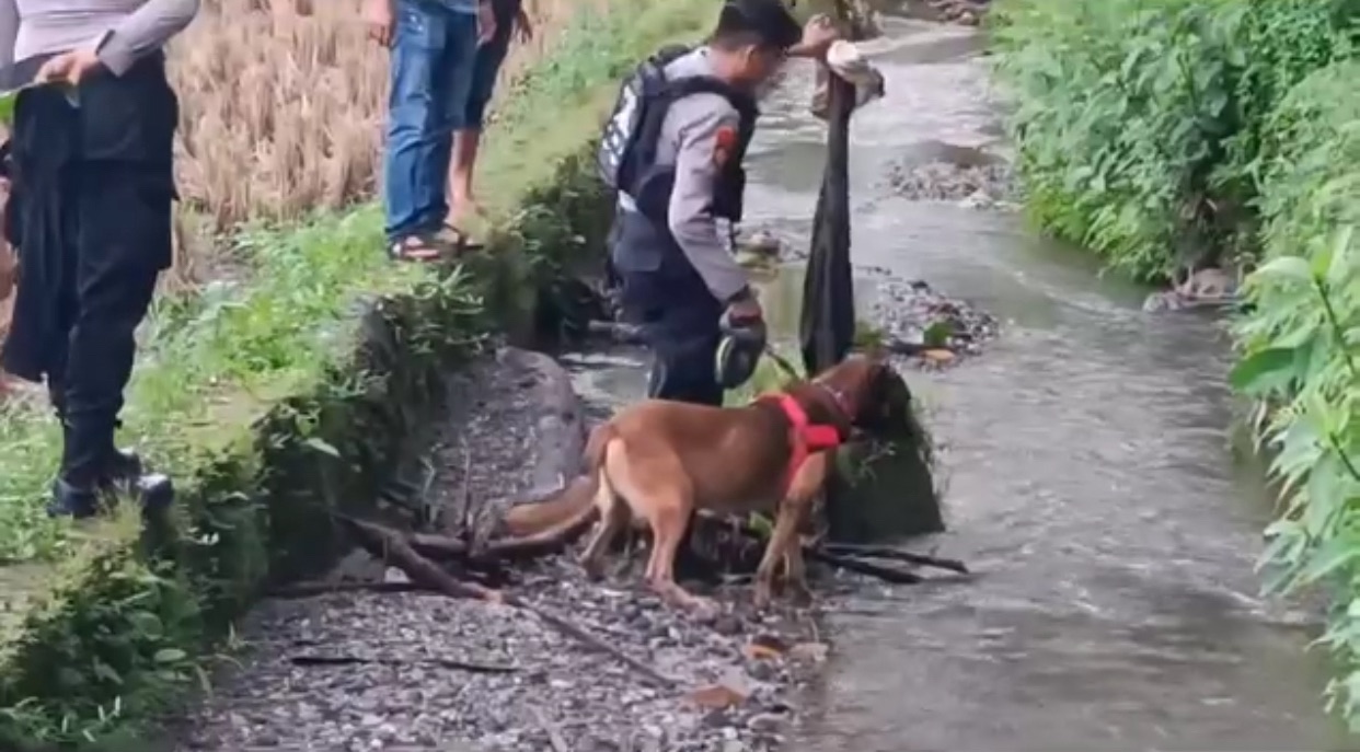 K-9 Temukan Baju Terakhir yang Digunakan Nia, Gadis Penjual Gorengan di Pariaman