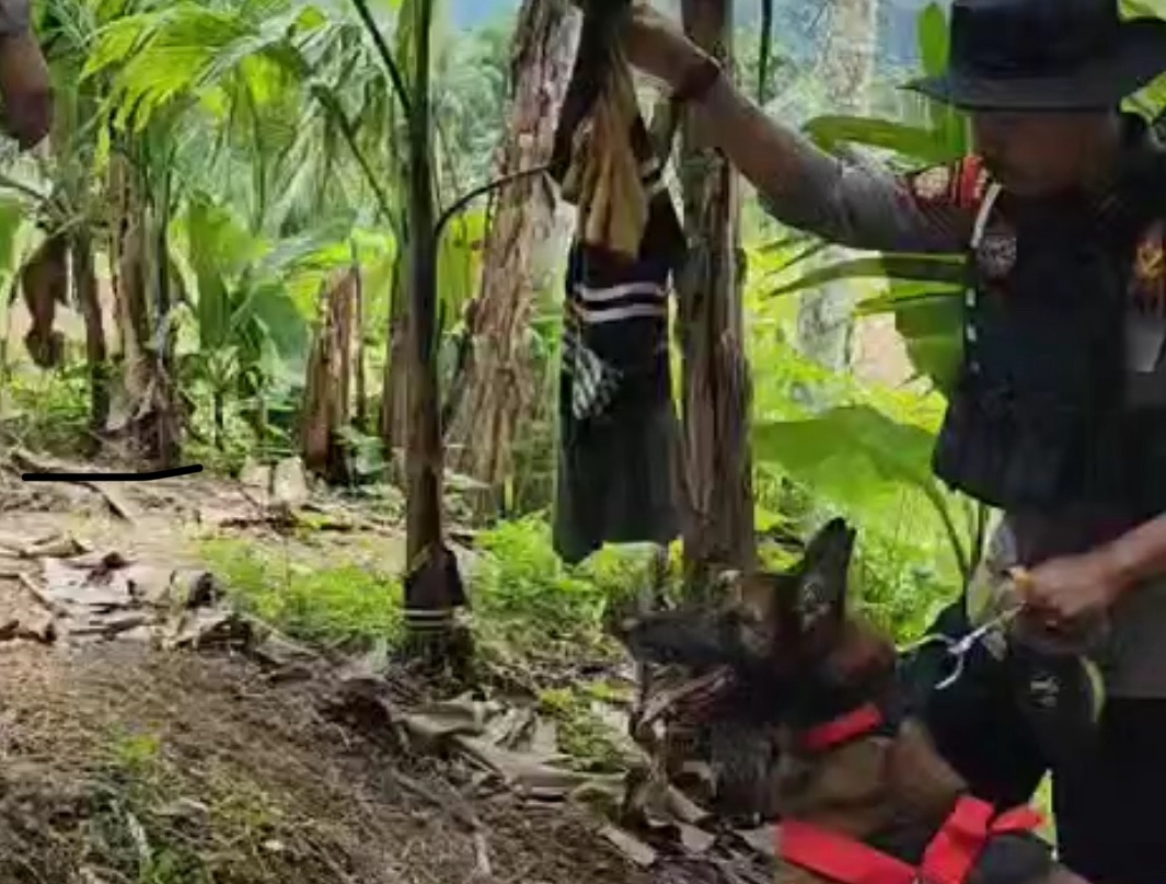 Baju dan Jejak Pelaku Pembunuh Nia Kurnia Sari Berhasil Ditemukan K9