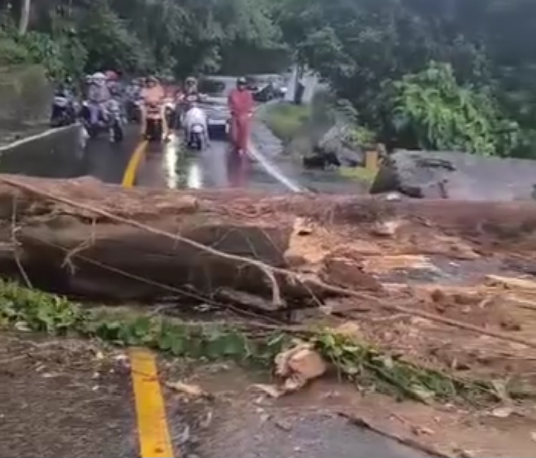 Pohon Tumbang Timpa Pengendara Sepeda Motor Di Bukik Lampu