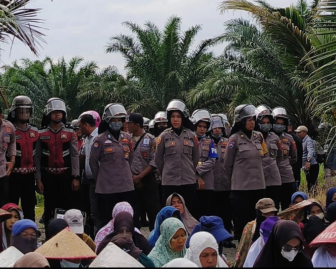 Konflik Agraria Memanas: Sembilan Petani Nagari Kapa Ditangkap Usai Berupaya Halangi PT Permata Hijau Pasaman